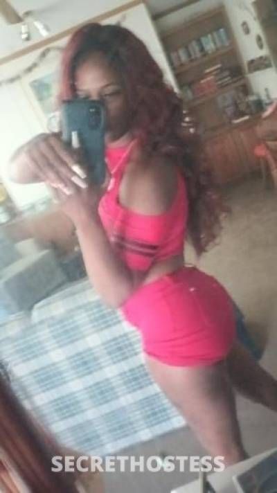 28Yrs Old Escort Indianapolis IN Image - 2