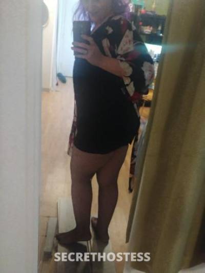 36Yrs Old Escort Cincinnati OH Image - 1