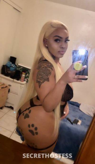 Chanel 22Yrs Old Escort Tallahassee FL Image - 3