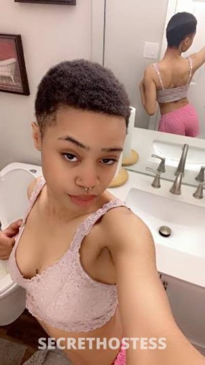 Venus 20Yrs Old Escort Louisville KY Image - 1