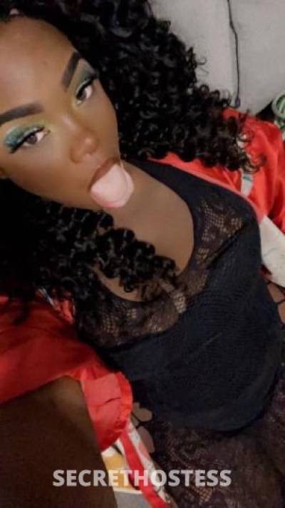 21Yrs Old Escort Chicago IL Image - 4