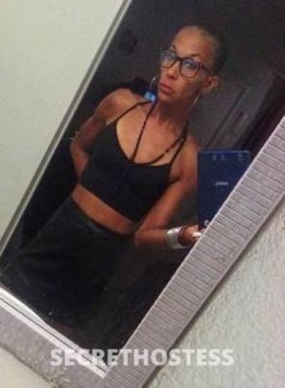 25Yrs Old Escort Phoenix AZ Image - 1