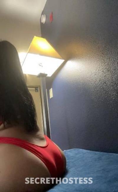 29Yrs Old Escort Richmond VA Image - 2