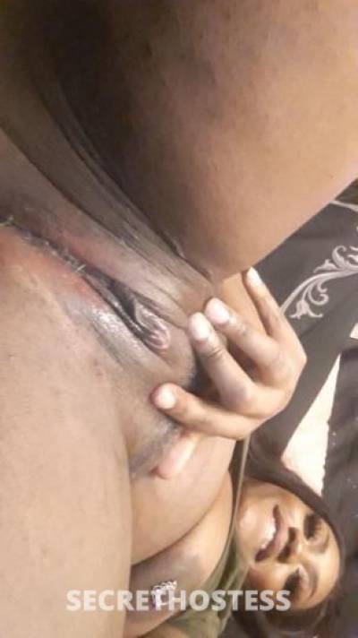 31 year old Escort in Jackson MI Dream Girl great Personality Any Style Available For You 