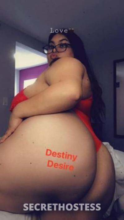 Destiny 28Yrs Old Escort 139CM Tall Tampa FL Image - 1