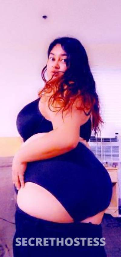 Destiny 28Yrs Old Escort 139CM Tall Tampa FL Image - 2