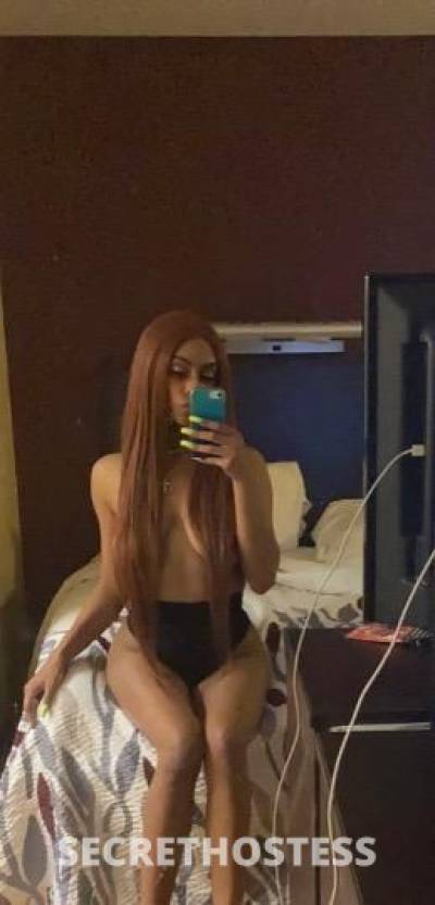 21Yrs Old Escort Milwaukee WI Image - 2