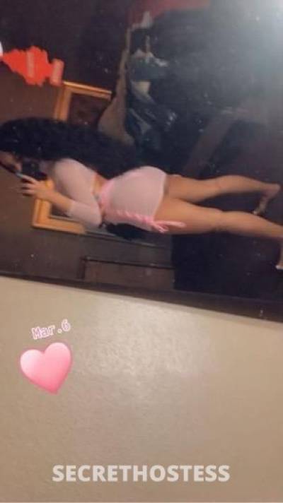 24Yrs Old Escort Houston TX Image - 1