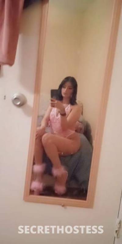 28Yrs Old Escort Dallas TX Image - 1