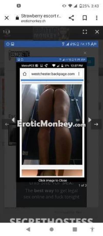 28 year old Escort in Westchester NY I Am Available Now Incall or Outcall CaR DaTeS Young And 