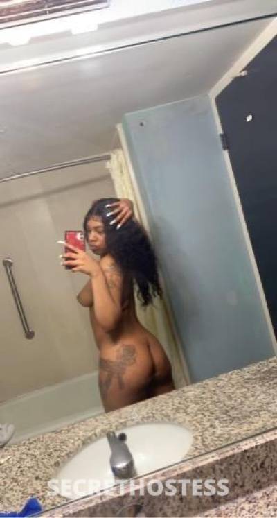 Stephanie 25Yrs Old Escort Size 4 Denver CO Image - 9