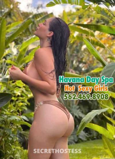 Havana Day Spa 25Yrs Old Escort Los Angeles CA Image - 5