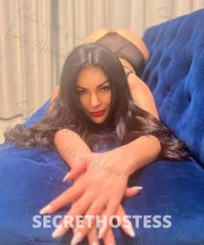 Sofia 25Yrs Old Escort Hobart Image - 5