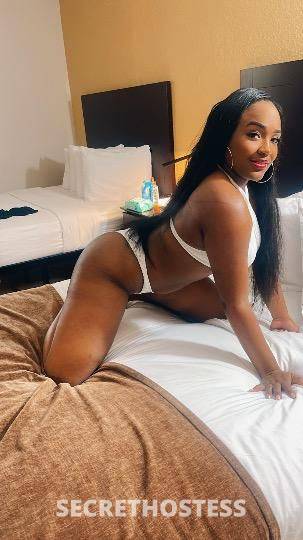 21Yrs Old Escort Fort Lauderdale FL Image - 1