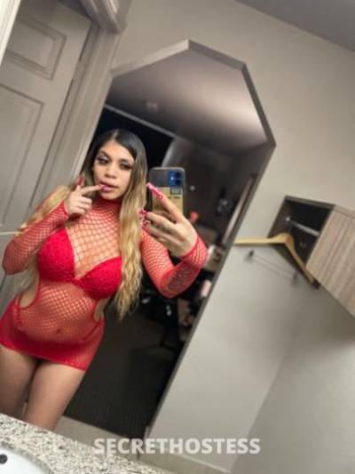 23Yrs Old Escort Denver CO Image - 1