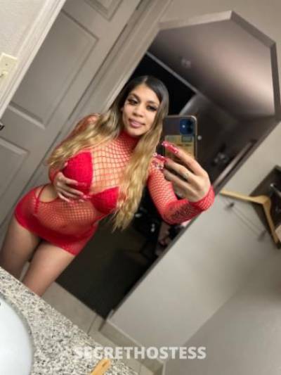 23Yrs Old Escort Denver CO Image - 2