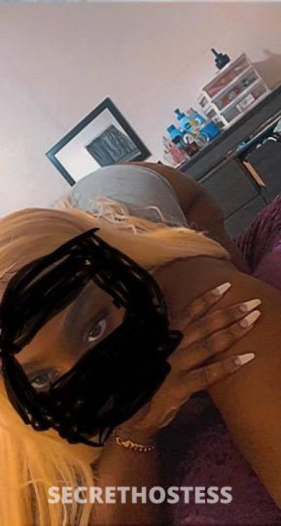 24Yrs Old Escort Orlando FL Image - 2