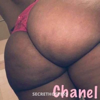 27Yrs Old Escort Charlotte NC Image - 1