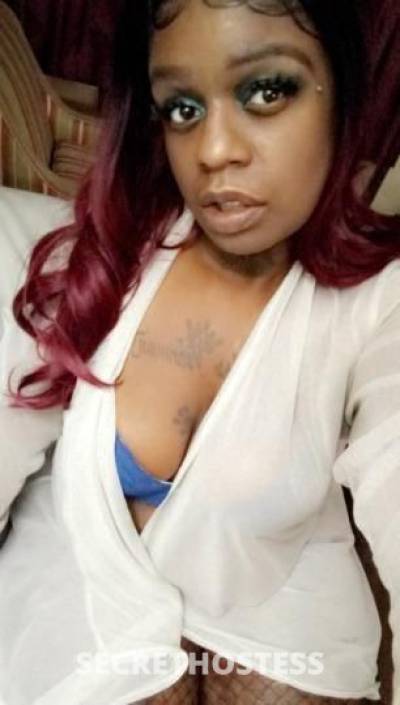 28Yrs Old Escort Greensboro NC Image - 2