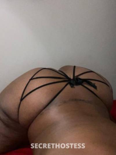 29Yrs Old Escort Chicago IL Image - 0