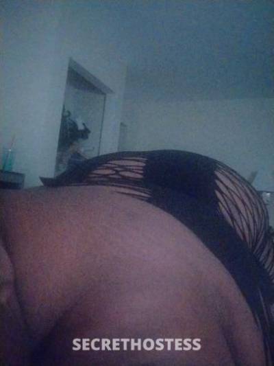 29Yrs Old Escort Houston TX Image - 2