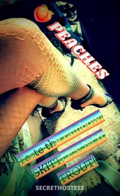 35 year old Australian Escort in Melbourne AuSsIe MiLf MiNt CuRvEs In ThE bEsT pLaCeS