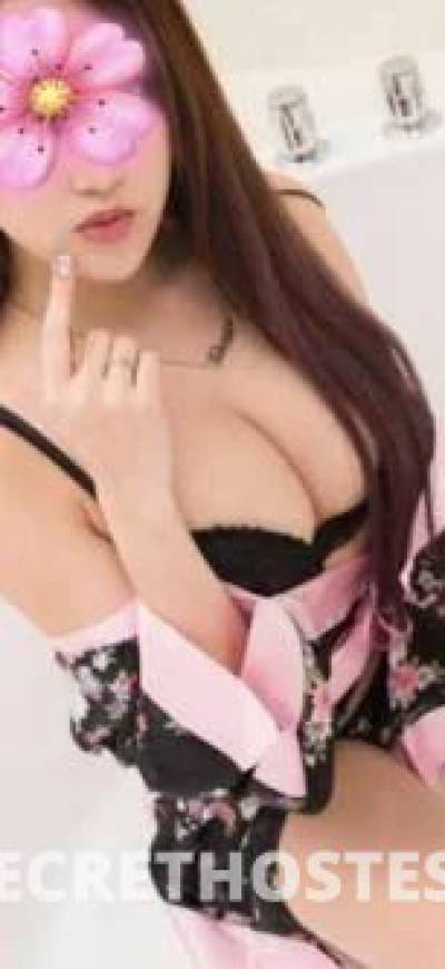 25Yrs Old Escort Brisbane Image - 8