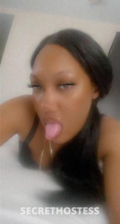 28Yrs Old Escort Queens NY Image - 0