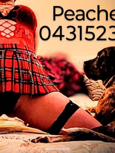 37Yrs Old Escort 169CM Tall Melbourne Image - 7