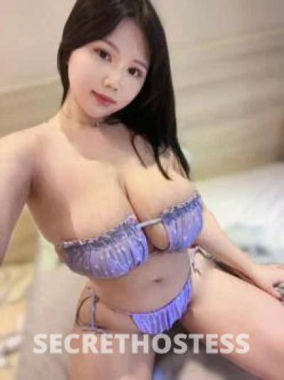 Wendy 23Yrs Old Escort Melbourne Image - 8