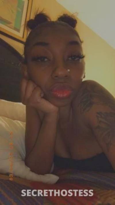 25 year old Escort in Louisville KY doing head specials tonight no service if you cant send pic 