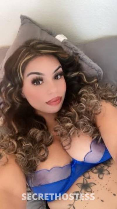 27Yrs Old Escort St. Cloud MN Image - 1