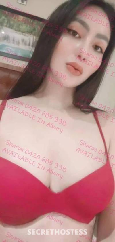 Sharon 24Yrs Old Escort Albury Image - 1