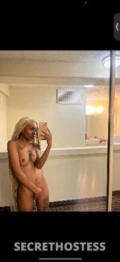 23Yrs Old Escort Houston TX Image - 1