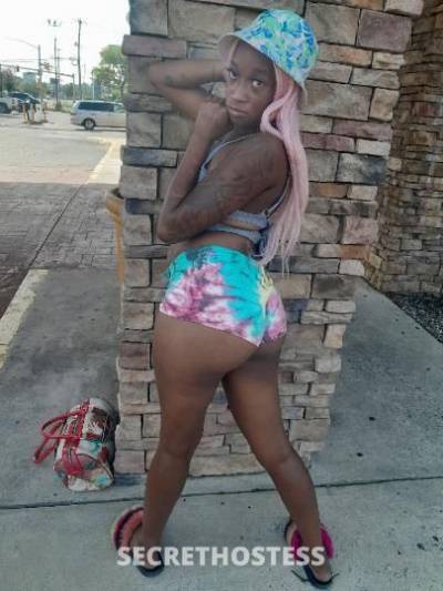 30 year old German Escort in Memphis TN Holla at miss fat wet kitty