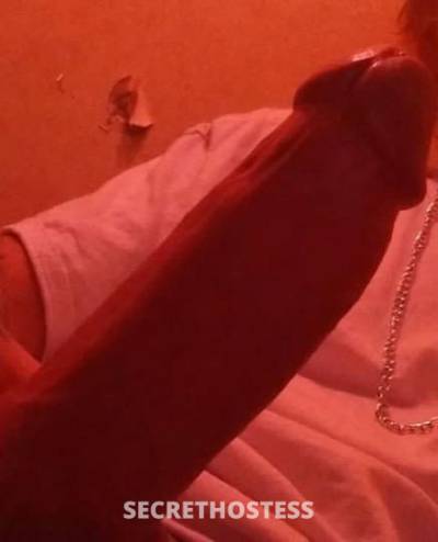 33Yrs Old Escort Cincinnati OH Image - 0