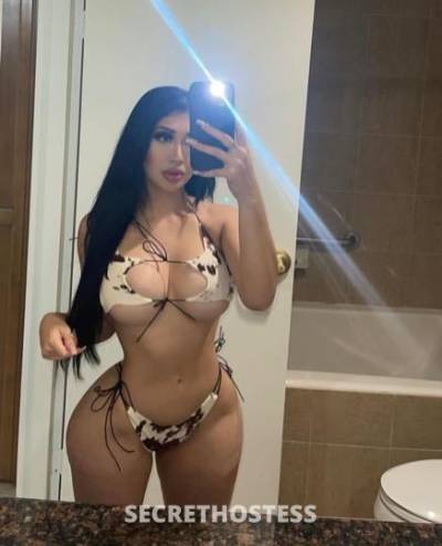26 Year Old Colombian Escort Austin TX - Image 4