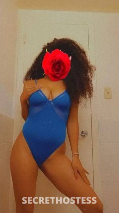 23Yrs Old Escort Bronx NY Image - 2