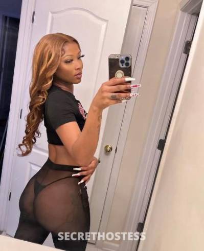 26Yrs Old Escort Chicago IL Image - 1