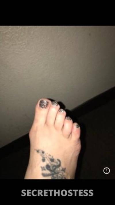35 year old Escort in Detroit MI Kiss my neck bite me pull my hair trace my spine hold me 