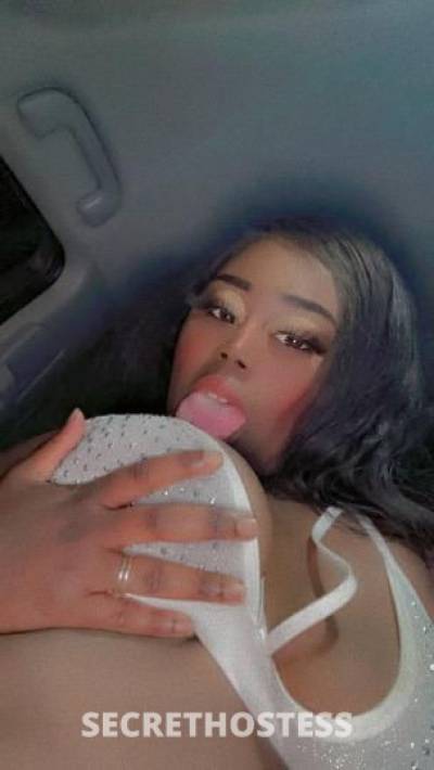 Jasmine 25Yrs Old Escort Chicago IL Image - 3