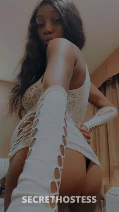 22 year old American Escort in Memphis TN Blissful fantasies
