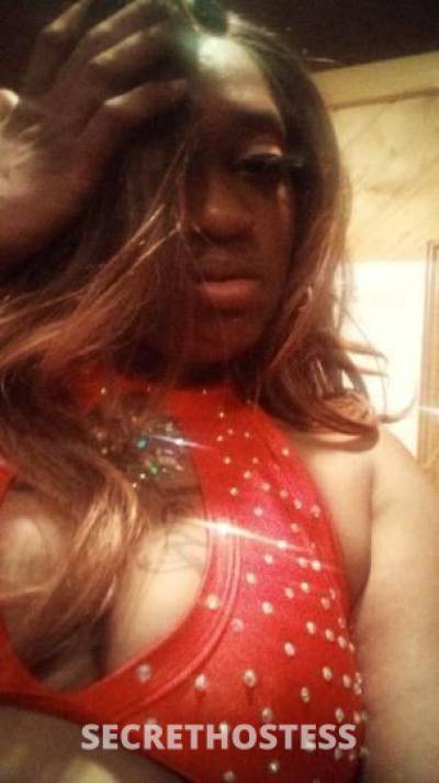 24Yrs Old Escort Milwaukee WI Image - 2