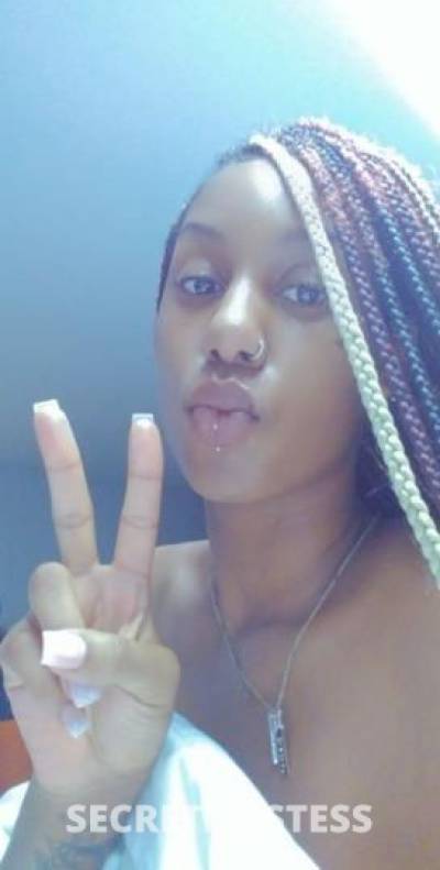 25 year old Escort in Memphis TN Stallion