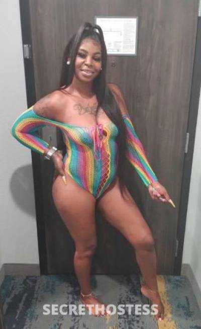 27Yrs Old Escort Dallas TX Image - 0