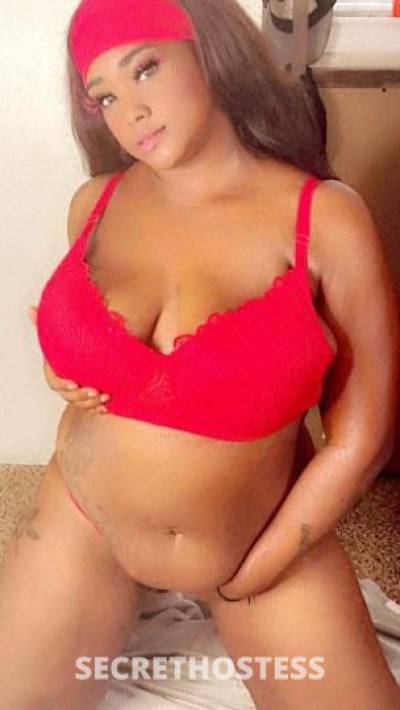 28Yrs Old Egyptian Escort Dallas TX in Dallas TX