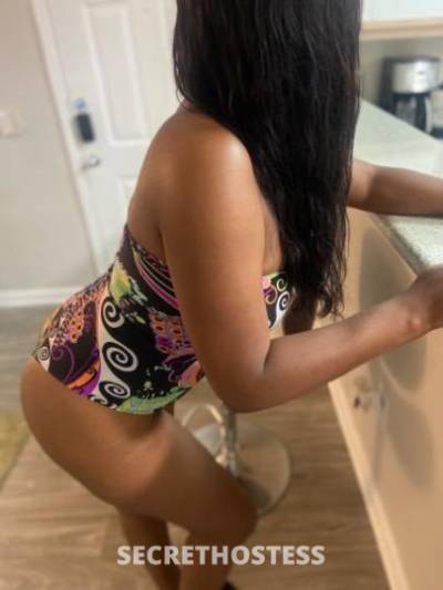 31Yrs Old Escort 167CM Tall Houston TX Image - 2