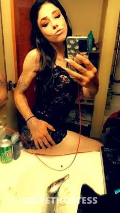 Angelina 25Yrs Old Escort Milwaukee WI Image - 2