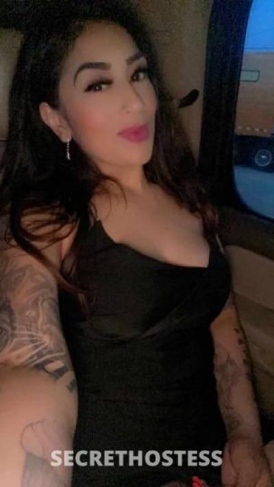 35 year old Escort in San Antonio TX $$$$ New comer