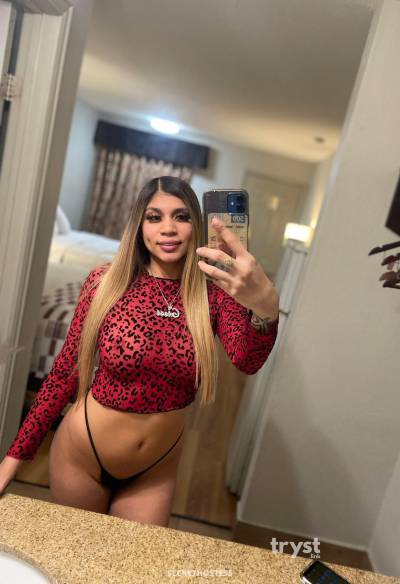 23Yrs Old Escort Dallas TX Image - 2